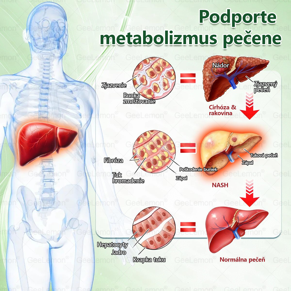 🎁 🎁 Vianočná zľava 50 % – len do Vianoc!